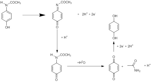 detailed redox reaction mechanism of AAPH 